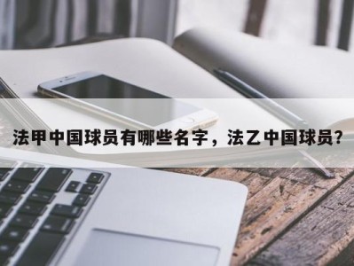 法甲中国球员有哪些名字，法乙中国球员？