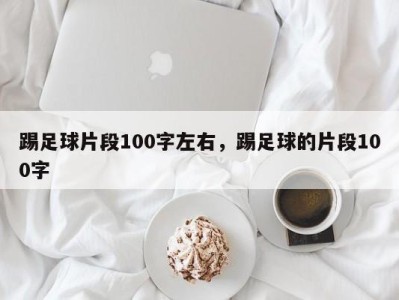踢足球片段100字左右，踢足球的片段100字