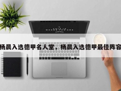杨晨入选德甲名人堂，杨晨入选德甲最佳阵容