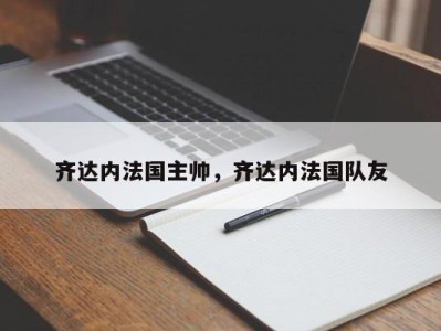 齐达内法国主帅，齐达内法国队友