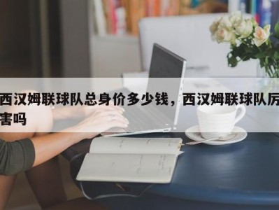 西汉姆联球队总身价多少钱，西汉姆联球队厉害吗