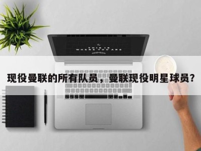 现役曼联的所有队员，曼联现役明星球员？