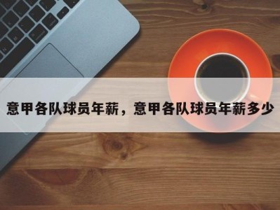 意甲各队球员年薪，意甲各队球员年薪多少