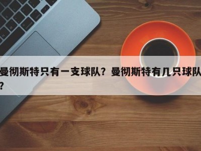 曼彻斯特只有一支球队？曼彻斯特有几只球队？