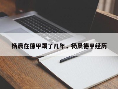 杨晨在德甲踢了几年，杨晨德甲经历