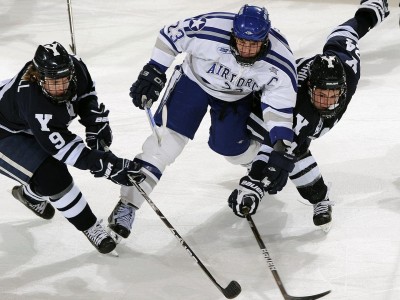 法甲冠军奖杯名称是什么,法甲冠军奖杯名称是什么意思