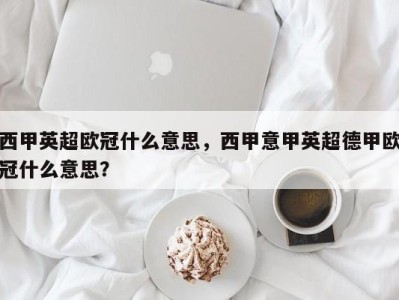 西甲英超欧冠什么意思，西甲意甲英超德甲欧冠什么意思？