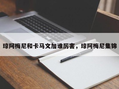 琼阿梅尼和卡马文加谁厉害，琼阿梅尼集锦