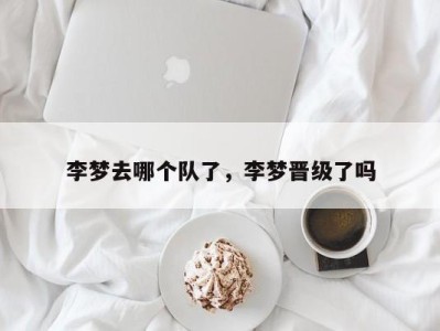 李梦去哪个队了，李梦晋级了吗