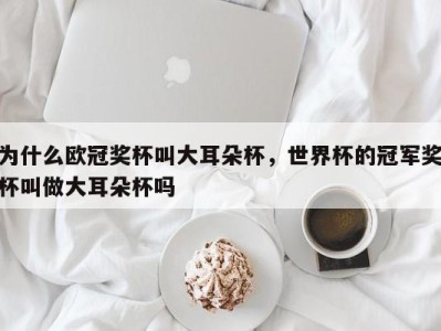 为什么欧冠奖杯叫大耳朵杯，世界杯的冠军奖杯叫做大耳朵杯吗