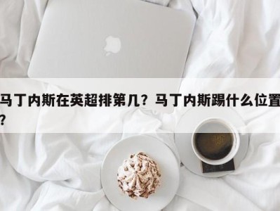 马丁内斯在英超排第几？马丁内斯踢什么位置？