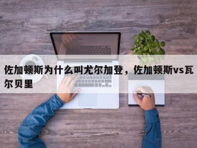 佐加顿斯为什么叫尤尔加登，佐加顿斯vs瓦尔贝里