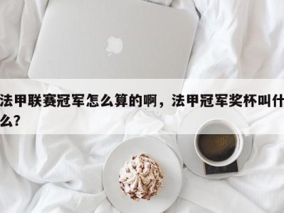 法甲联赛冠军怎么算的啊，法甲冠军奖杯叫什么？