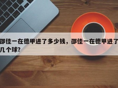 邵佳一在德甲进了多少钱，邵佳一在德甲进了几个球？