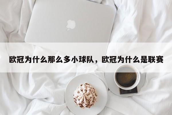 欧冠为什么那么多小球队,欧冠为什么是联赛