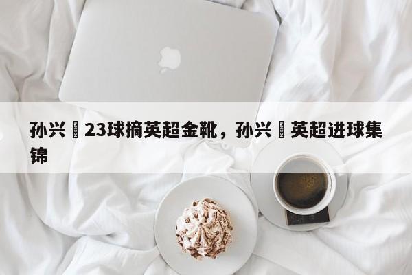 孙兴慜23球摘英超金靴,孙兴慜英超进球集锦