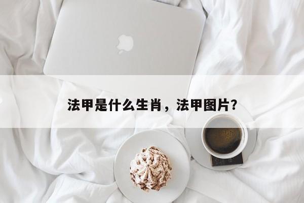 法甲是什么生肖,法甲图片?