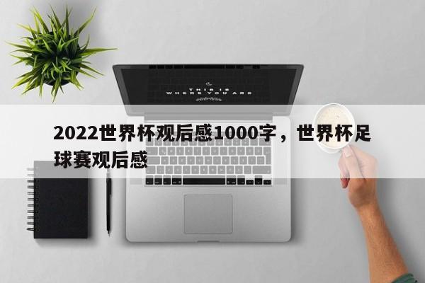 2022世界杯观后感1000字,世界杯足球赛观后感