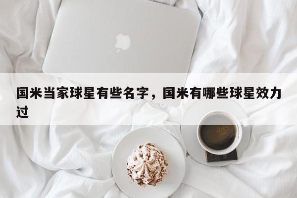 国米当家球星有些名字,国米有哪些球星效力过