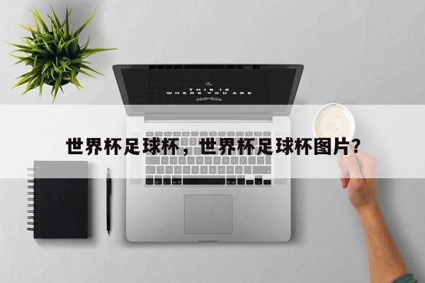 世界杯足球杯,世界杯足球杯图片?