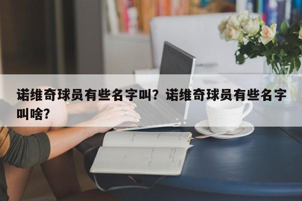 诺维奇球员有些名字叫?诺维奇球员有些名字叫啥?