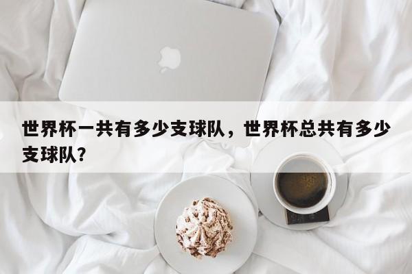 世界杯一共有多少支球队,世界杯总共有多少支球队?