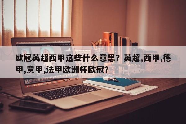 欧冠英超西甲这些什么意思?英超,西甲,德甲,意甲,法甲欧洲杯欧冠?