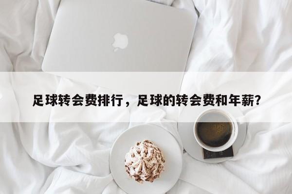 足球转会费排行,足球的转会费和年薪?