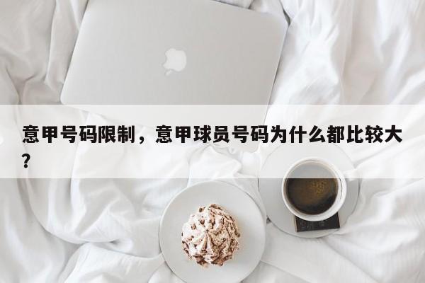 意甲号码限制,意甲球员号码为什么都比较大?